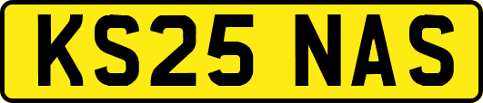 KS25NAS