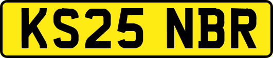 KS25NBR