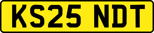 KS25NDT