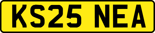 KS25NEA
