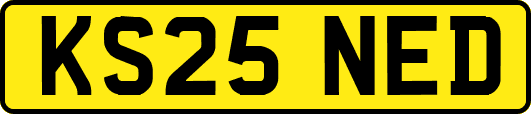 KS25NED