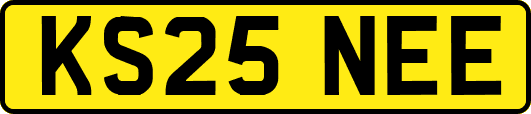 KS25NEE