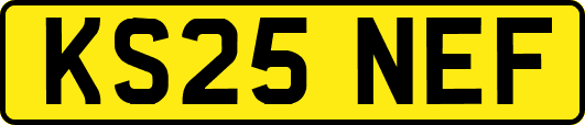 KS25NEF