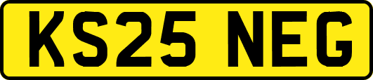 KS25NEG