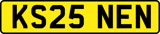 KS25NEN