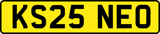 KS25NEO