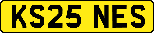 KS25NES