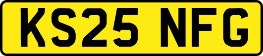 KS25NFG