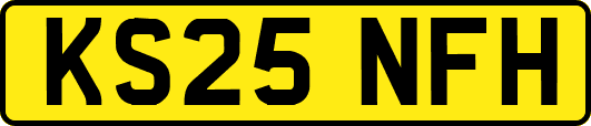 KS25NFH