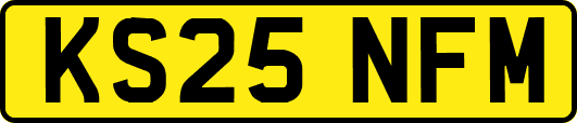 KS25NFM