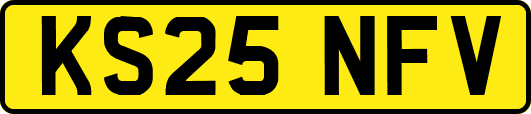 KS25NFV
