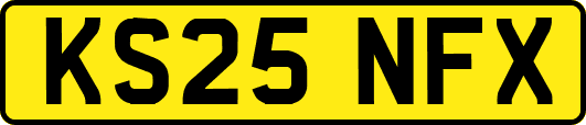 KS25NFX