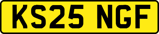 KS25NGF
