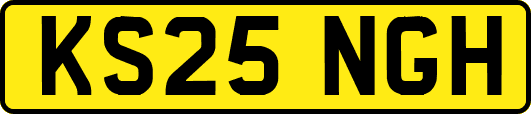KS25NGH