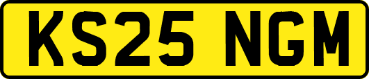KS25NGM