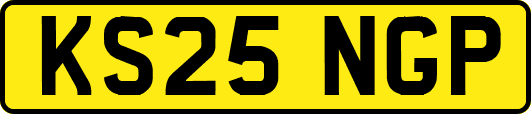 KS25NGP