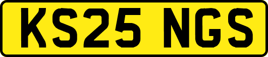 KS25NGS