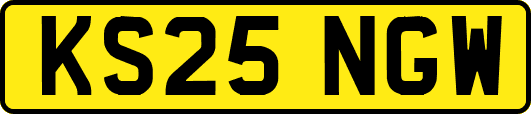 KS25NGW