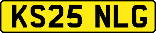 KS25NLG