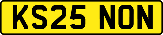 KS25NON