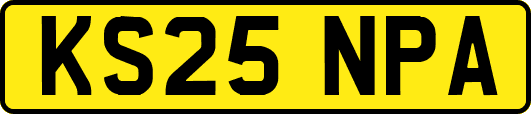 KS25NPA