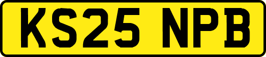KS25NPB