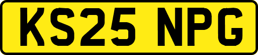 KS25NPG