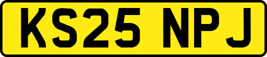 KS25NPJ