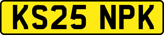 KS25NPK