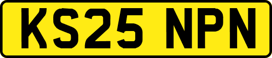 KS25NPN