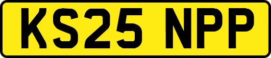 KS25NPP