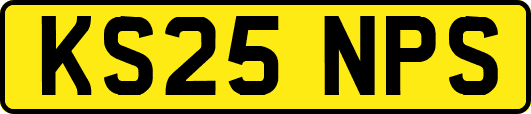 KS25NPS