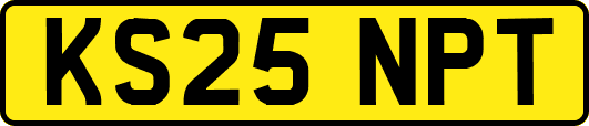 KS25NPT