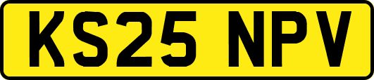 KS25NPV