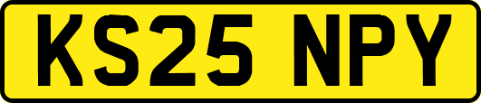 KS25NPY