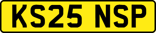 KS25NSP
