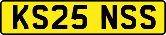 KS25NSS