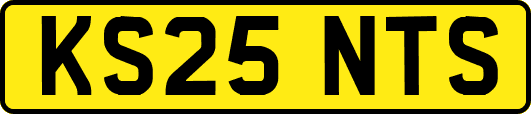 KS25NTS