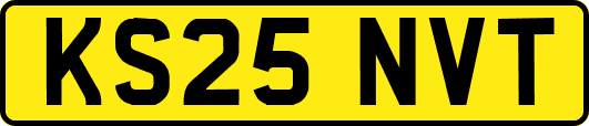 KS25NVT