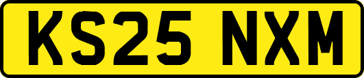 KS25NXM