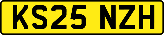 KS25NZH