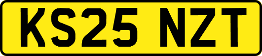 KS25NZT