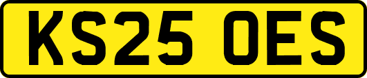 KS25OES