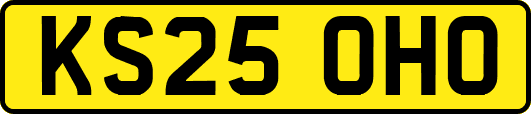KS25OHO