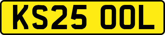 KS25OOL