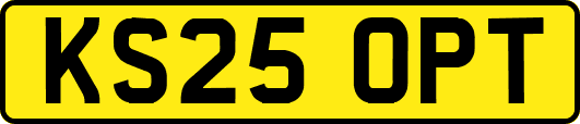 KS25OPT