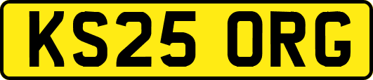 KS25ORG