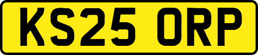 KS25ORP