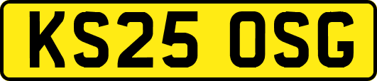 KS25OSG