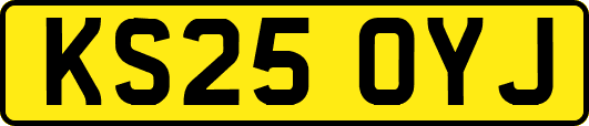 KS25OYJ